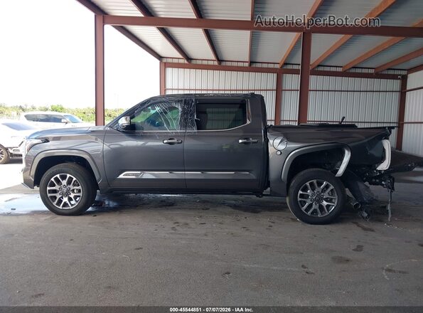 5TFMA5DB1SX284238 2025 TOYOTA TUNDRA Gray სალონის 360-გრადუსიანი ხედი