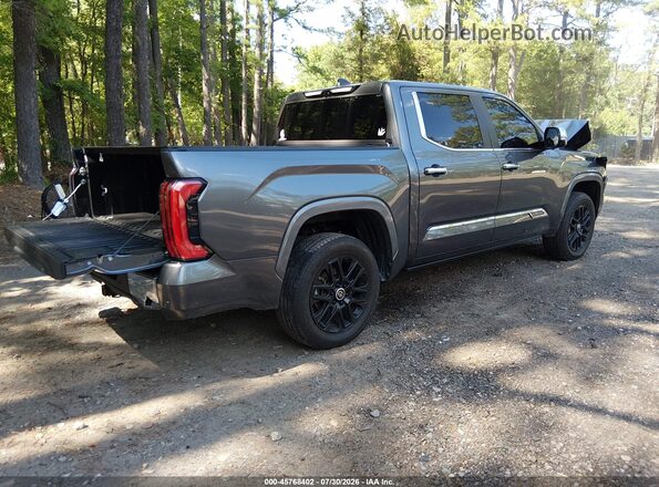 5TFMA5DB5RX209066 2024 TOYOTA TUNDRA Gray Trasero derecho