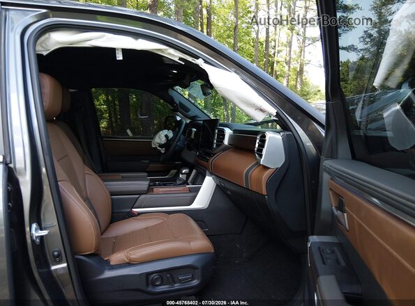 5TFMA5DB5RX209066 2024 TOYOTA TUNDRA Gray Vista interior delantera