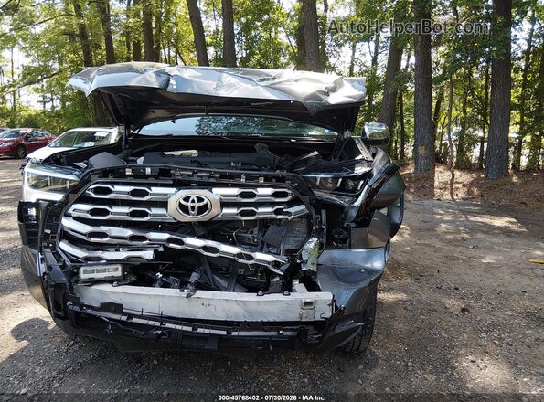 5TFMA5DB5RX209066 2024 TOYOTA TUNDRA Gray Vista frontal