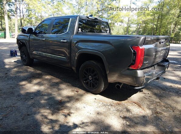5TFMA5DB5RX209066 2024 TOYOTA TUNDRA Gray Trasero izquierdo
