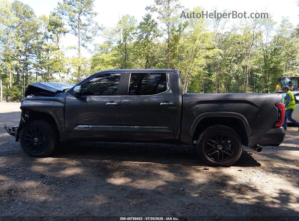 5TFMA5DB5RX209066 2024 TOYOTA TUNDRA Gray Vista interior de 360 grados