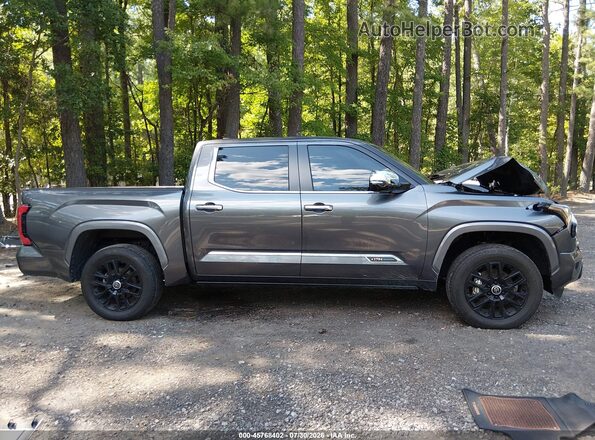 5TFMA5DB5RX209066 2024 TOYOTA TUNDRA Gray Vista interior trasera
