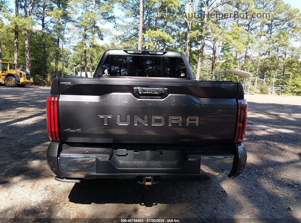 5TFMA5DB5RX209066 2024 TOYOTA TUNDRA Gray 