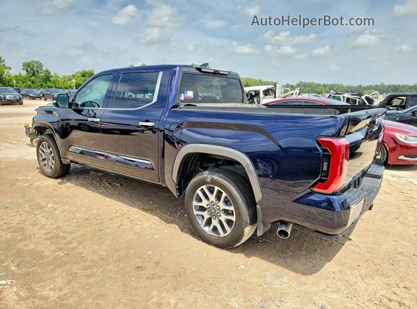 5TFMA5DB6SX279293 2025 TOYOTA TUNDRA Blue Задня ліва чверть