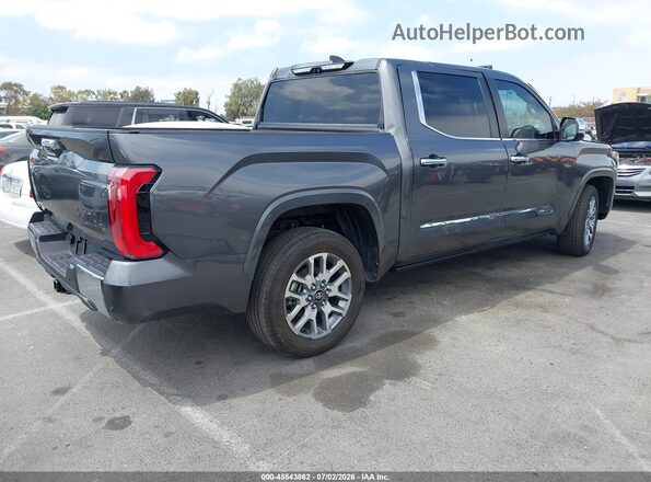 5TFMA5DB9SX300248 2025 TOYOTA TUNDRA Gray Задня права чверть