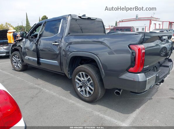 5TFMA5DB9SX300248 2025 TOYOTA TUNDRA Gray Задня ліва чверть