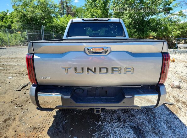 5TFMA5DBXPX110739 2023 TOYOTA TUNDRA Silver Հետևի տեսք