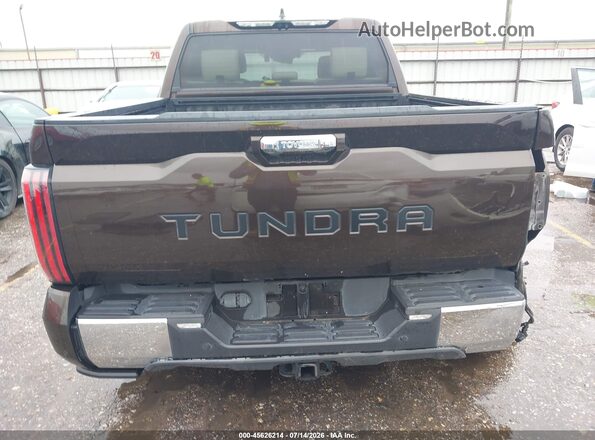 5TFMC5AB1PX002184 2023 TOYOTA TUNDRA HYBRID Brown 