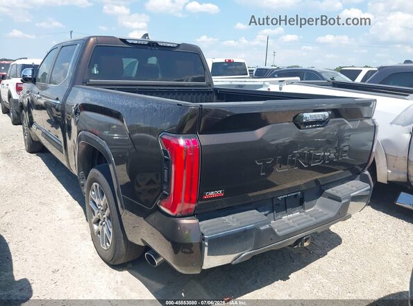 5TFMC5BC2RX001197 2024 TOYOTA TUNDRA HYBRID Brown Tył lewy