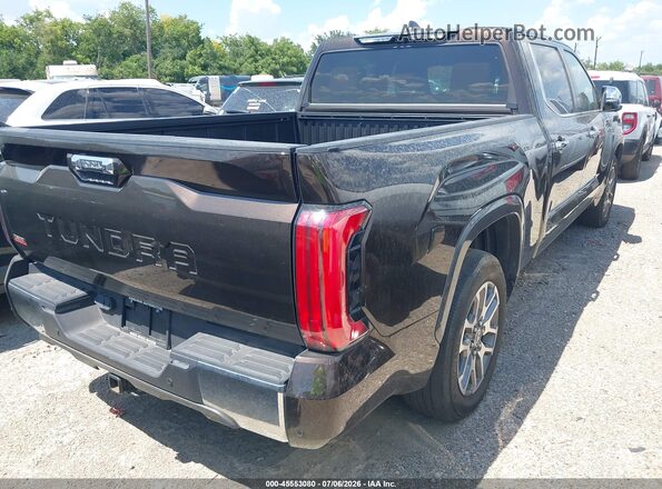 5TFMC5BC2RX001197 2024 TOYOTA TUNDRA HYBRID Brown Tył prawy