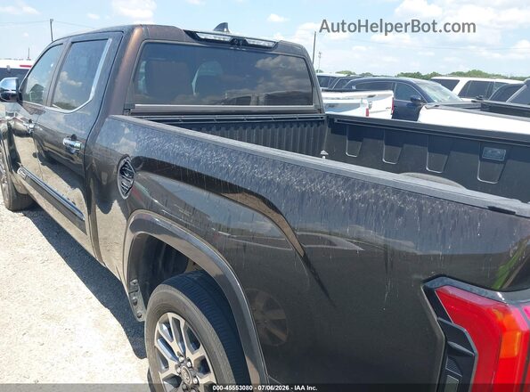5TFMC5BC2RX001197 2024 TOYOTA TUNDRA HYBRID Brown Widok wnętrza 360 stopni