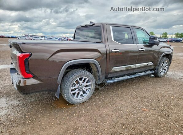 5TFMC5DB6NX006689 2022 TOYOTA TUNDRA Коричневый Задняя правая четверть