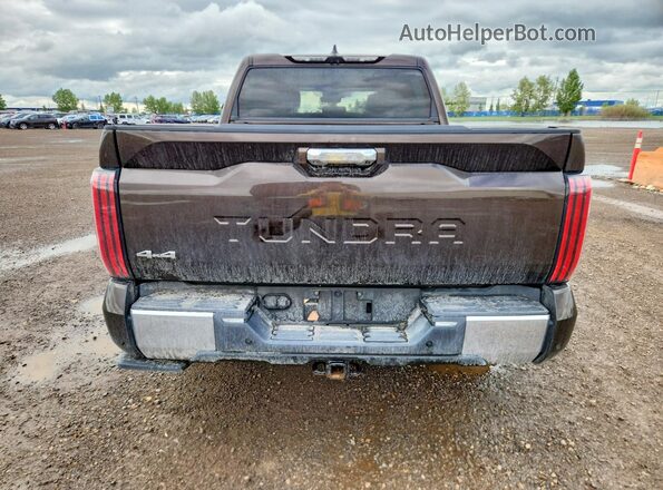 5TFMC5DB6NX006689 2022 TOYOTA TUNDRA Коричневый Вид сзади
