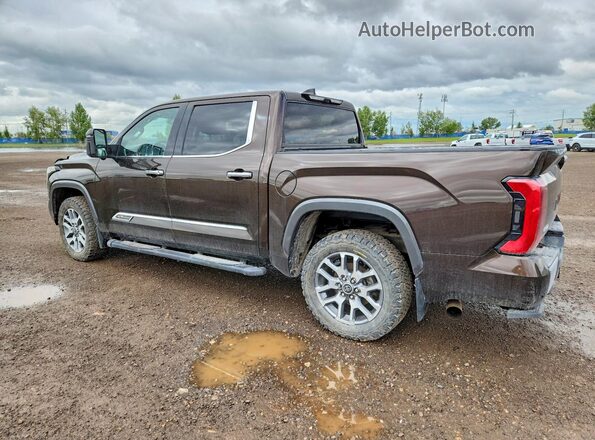 5TFMC5DB6NX006689 2022 TOYOTA TUNDRA Коричневый Задняя левая четверть