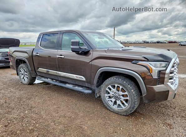 5TFMC5DB6NX006689 2022 TOYOTA TUNDRA Коричневый Передняя правая четверть