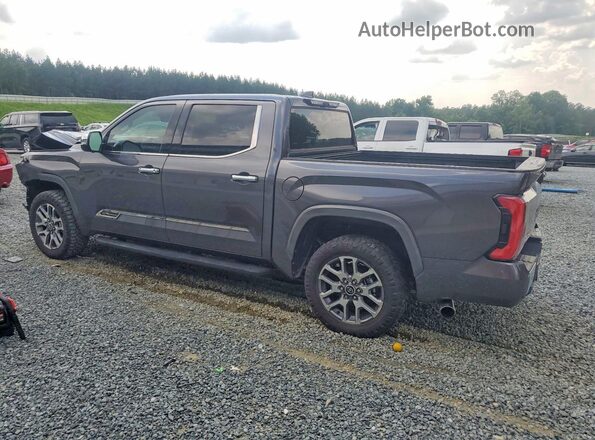 5TFMC5DB6PX026511 2023 TOYOTA TUNDRA Серый Задняя левая четверть