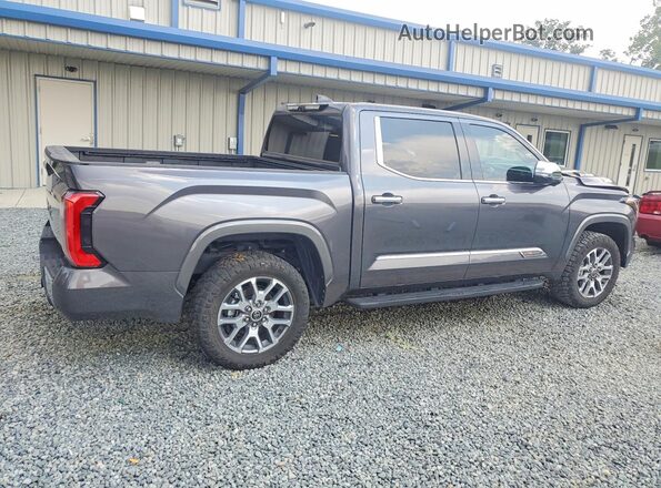 5TFMC5DB6PX026511 2023 TOYOTA TUNDRA Серый Задняя правая четверть