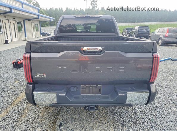 5TFMC5DB6PX026511 2023 TOYOTA TUNDRA Серый Вид сзади