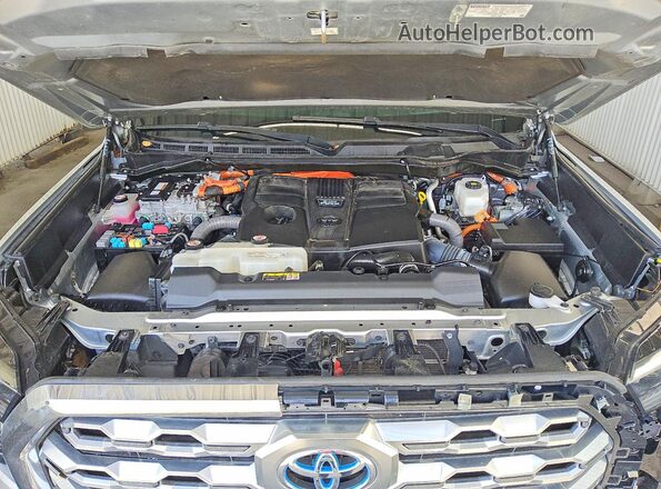 5TFMC5DB8PX030270 2023 TOYOTA TUNDRA Silver Սալոնի հետևի տեսք