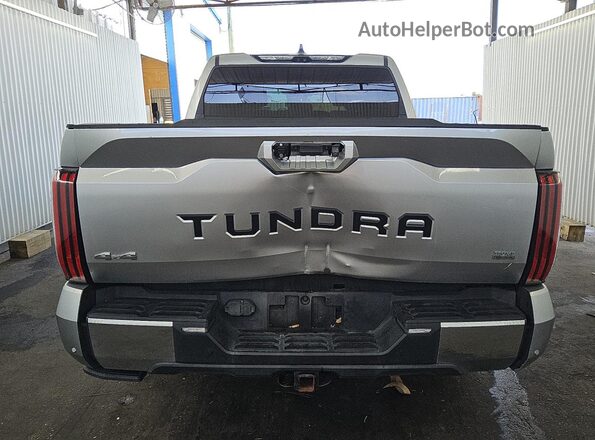 5TFMC5DB8PX030270 2023 TOYOTA TUNDRA Silver 