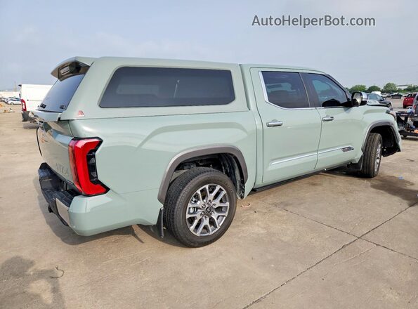 5TFMC5DBXSX093184 2025 TOYOTA TUNDRA Бирюзовый Задняя правая четверть