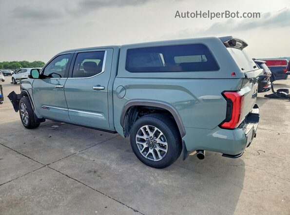 5TFMC5DBXSX093184 2025 TOYOTA TUNDRA Бирюзовый Задняя левая четверть