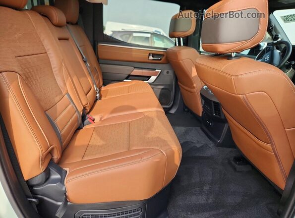 5TFMC5DBXSX093184 2025 TOYOTA TUNDRA Бирюзовый Вид задних сидений
