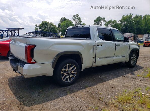 5TFMC5ECXSX009422 2025 TOYOTA TUNDRA White უკანა მარჯვენა
