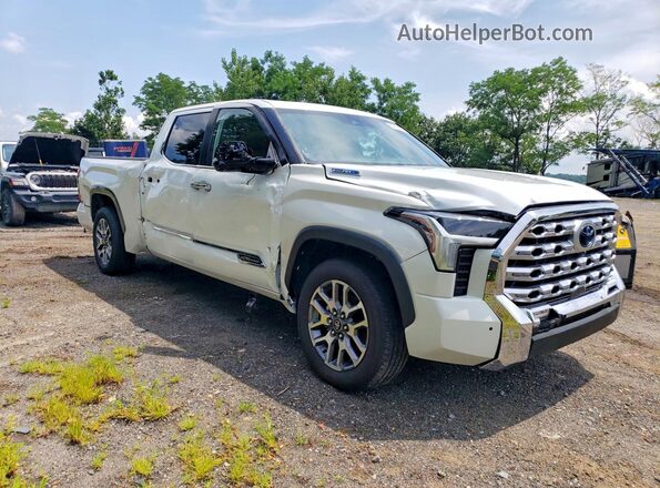 5TFMC5ECXSX009422 2025 TOYOTA TUNDRA White წინა მარჯვენა