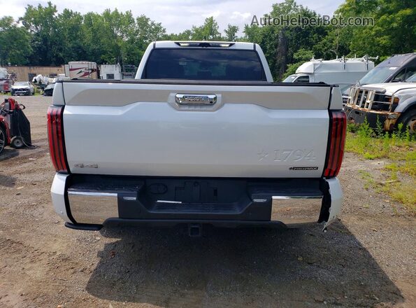 5TFMC5ECXSX009422 2025 TOYOTA TUNDRA White უკანა ხედი