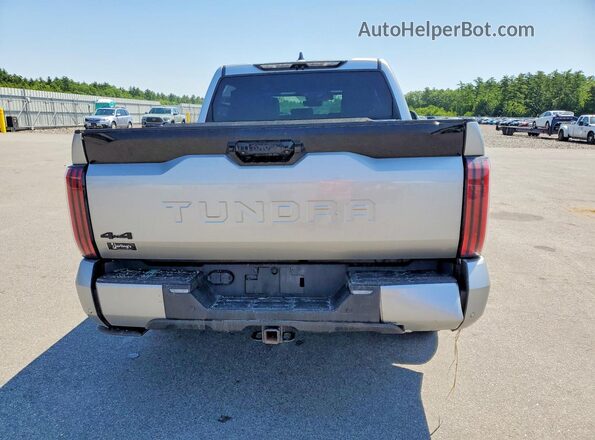 5TFNA5DB0PX086391 2023 TOYOTA TUNDRA Silver Вид ззаду