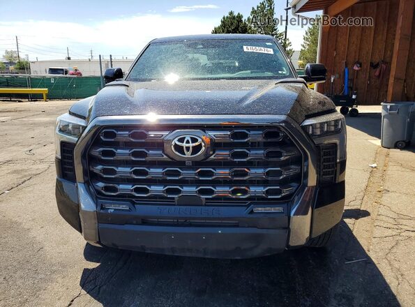 5TFNA5DB0PX116196 2023 TOYOTA TUNDRA Black Vista frontal