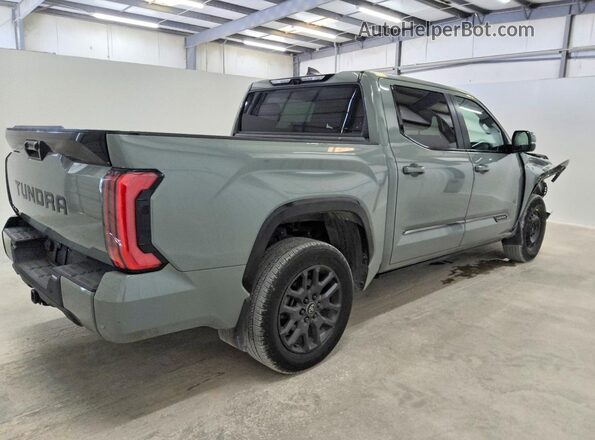 5TFNA5DB0SX326306 2025 TOYOTA TUNDRA Green Rear right