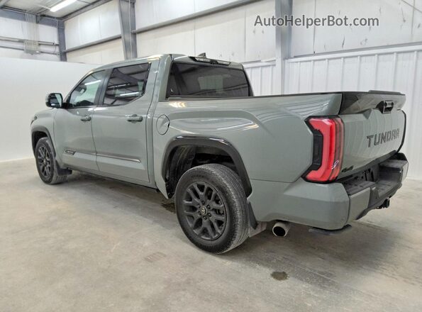 5TFNA5DB0SX326306 2025 TOYOTA TUNDRA Green Rear left