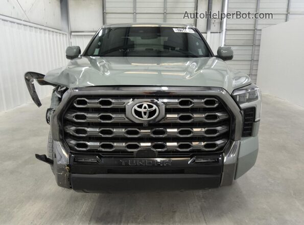 5TFNA5DB0SX326306 2025 TOYOTA TUNDRA Green 