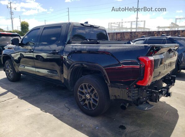 5TFNA5DB2RX132421 2024 TOYOTA TUNDRA Black Rear left