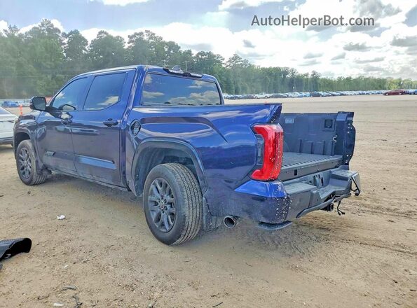 5TFNA5DB3RX206087 2024 TOYOTA TUNDRA Blue Trasero izquierdo