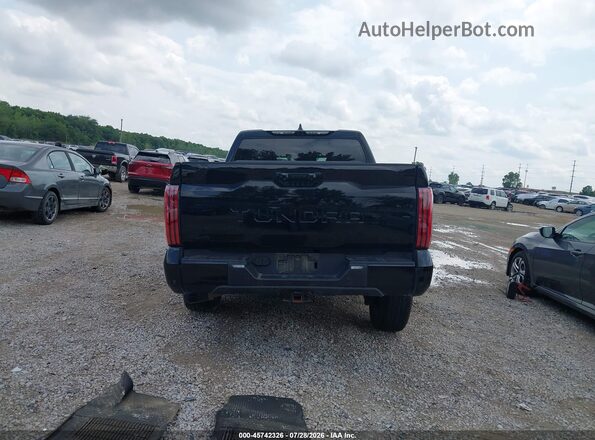 5TFNA5DB3SX293219 2025 TOYOTA TUNDRA Черный 