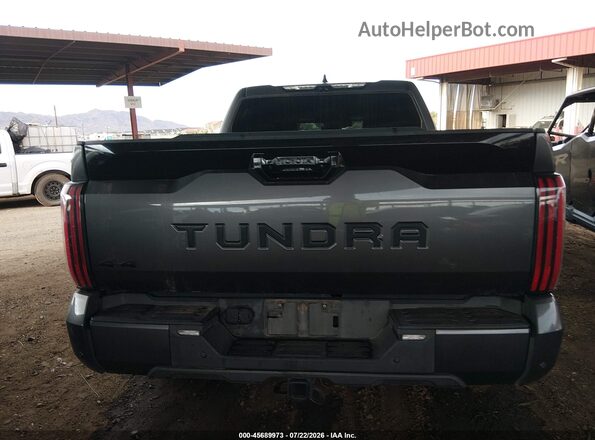 5TFNA5DB5PX124276 2023 TOYOTA TUNDRA Gray 