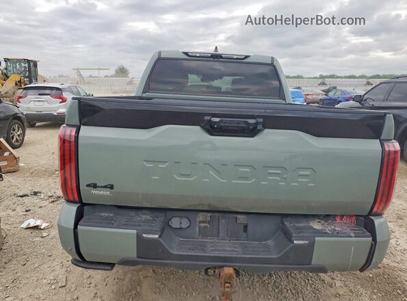 5TFNA5DB5RX147589 2024 TOYOTA TUNDRA Turquoise უკანა ხედი