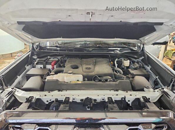 5TFNA5DB5RX229404 2024 TOYOTA TUNDRA Белый Вид задней части салона