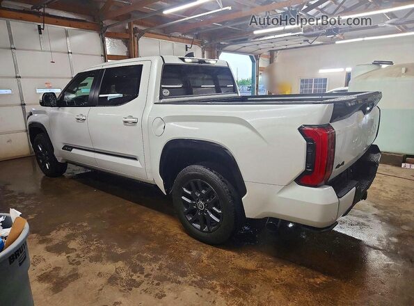 5TFNA5DB5RX229404 2024 TOYOTA TUNDRA Белый Задняя левая четверть