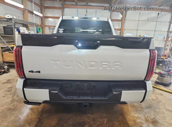 5TFNA5DB5RX229404 2024 TOYOTA TUNDRA Белый Вид сзади