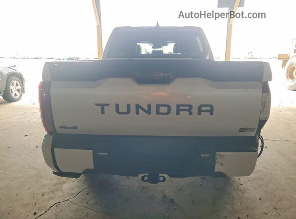 5TFNA5DB5SX285168 2025 TOYOTA TUNDRA Белый Вид сзади