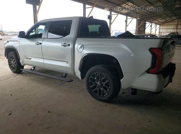 5TFNA5DB5SX285168 2025 TOYOTA TUNDRA Белый Задняя левая четверть