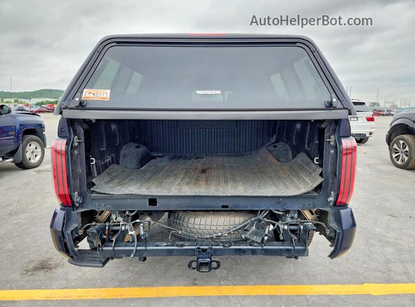 5TFNA5DB9RX164248 2024 TOYOTA TUNDRA Blue Rear view