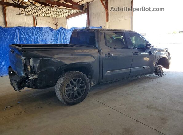 5TFNA5DB9SX290695 2025 TOYOTA TUNDRA Gray უკანა მარჯვენა