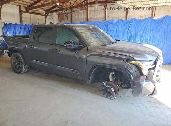 5TFNA5DB9SX290695 2025 TOYOTA TUNDRA Gray წინა მარჯვენა