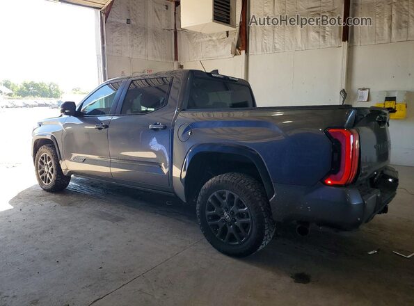 5TFNA5DB9SX290695 2025 TOYOTA TUNDRA Gray უკანა მარცხენა